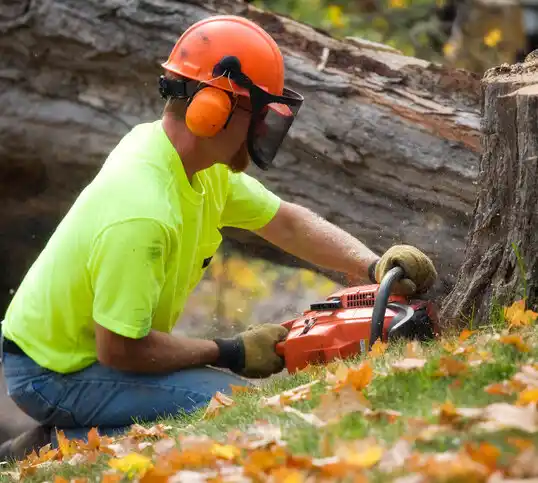 tree services Smithsburg